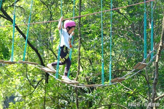 博鱼体育树上探险乘着滑索拥抱自然(图5)